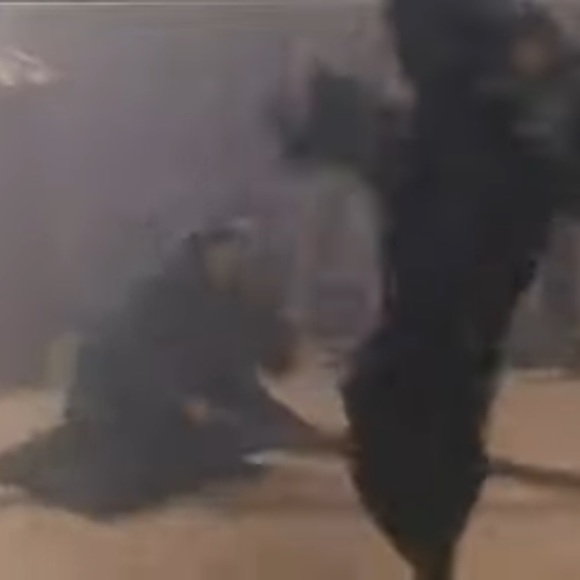 Rare Kung-Fu movie Comet, Butterfly, & Sword VHS. - Picture 15 of 16